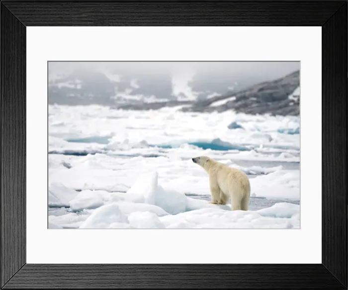 Framed Print : DDE-90034393 Framed Print : DDE-90034393