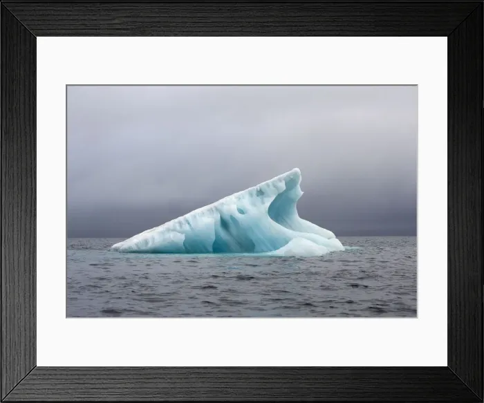 Framed Print : DDE-90034395