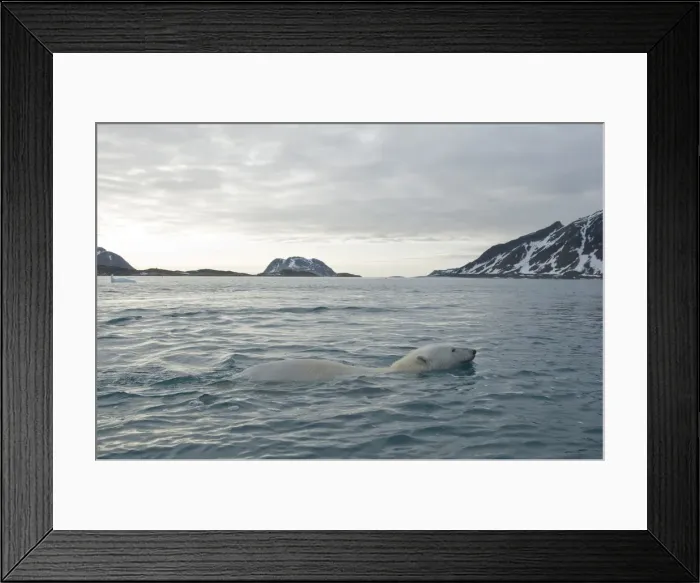 Framed Print : DDE-90034402 Framed Print : DDE-90034402