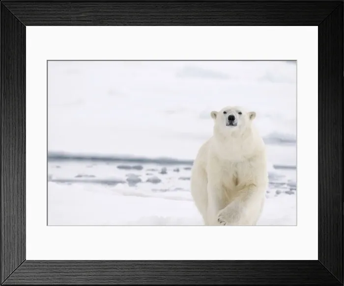 Framed Print : DDE-90034401 Framed Print : DDE-90034401