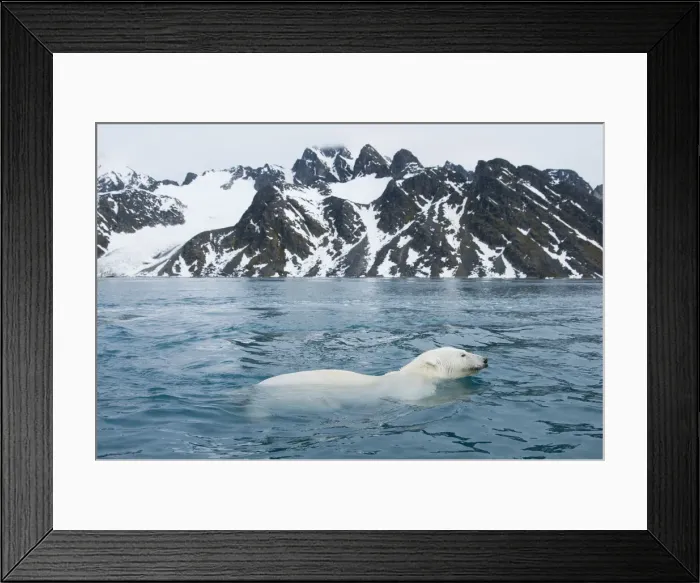 Framed Print : DDE-90034403
