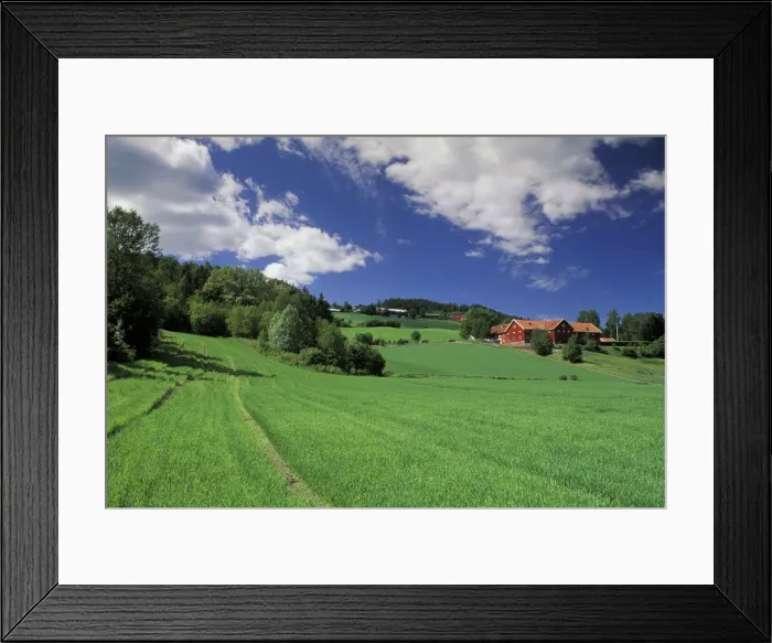 Framed Print : DDE-90034447 Framed Print : DDE-90034447