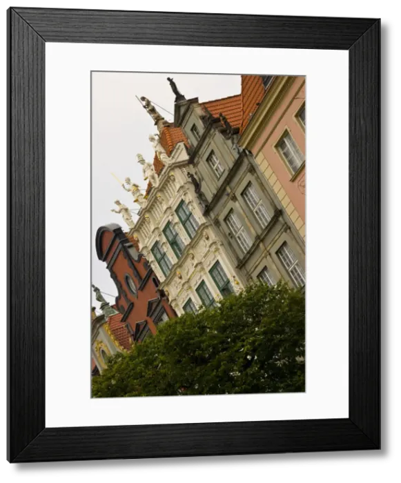 Framed Print : DDE-90034465 Framed Print : DDE-90034465