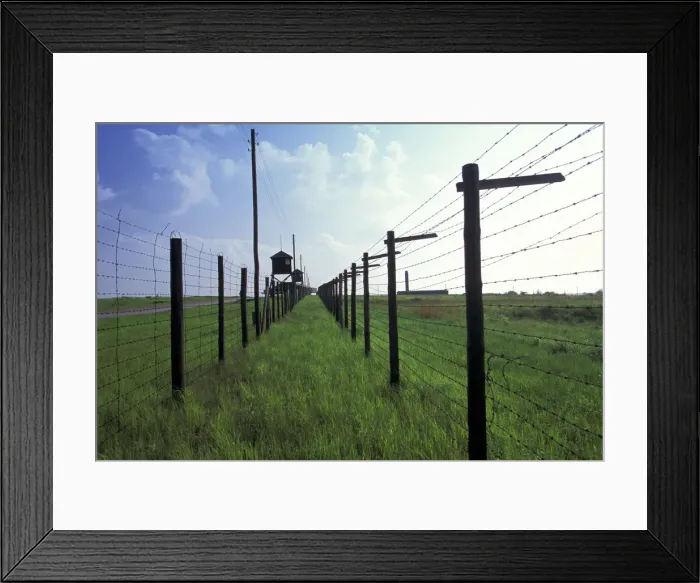 Framed Print : DDE-90034482