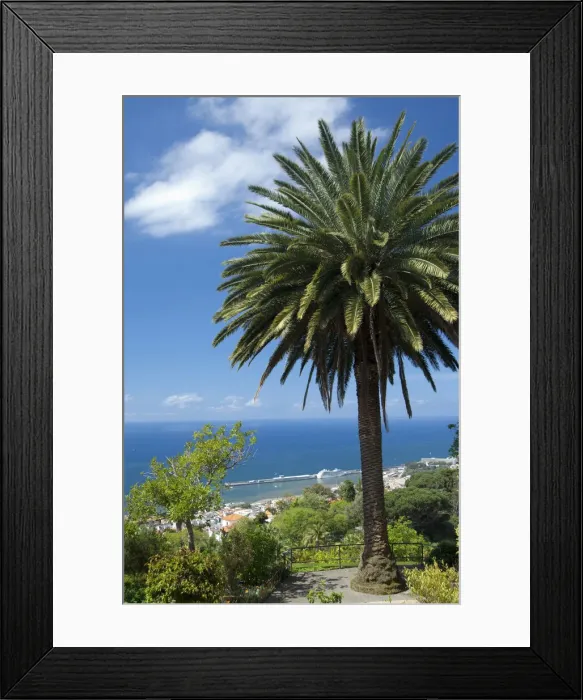 Framed Print : DDE-90034496