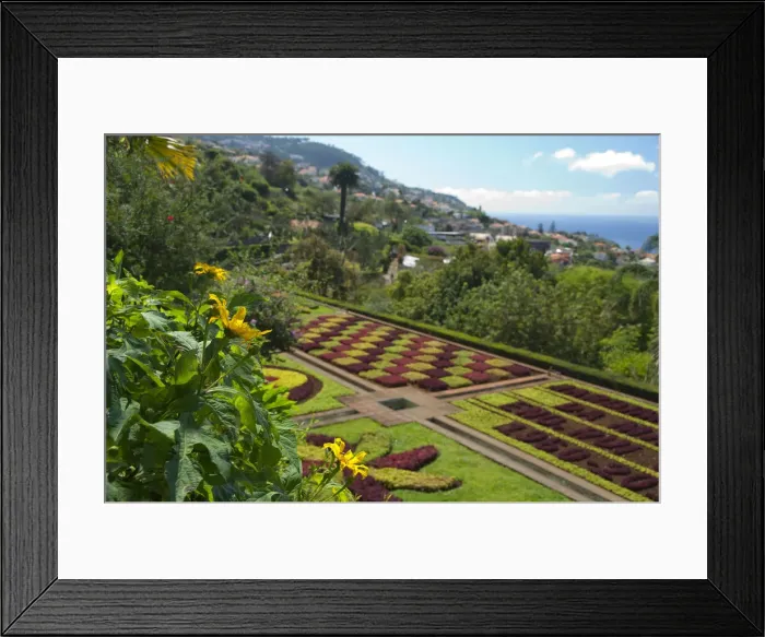 Framed Print : DDE-90034515 Framed Print : DDE-90034515