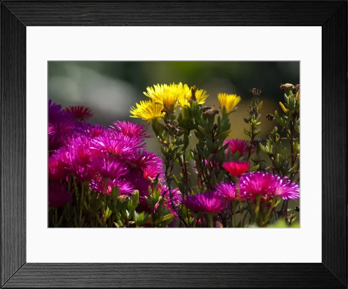 Framed Print : DDE-90034517 Framed Print : DDE-90034517