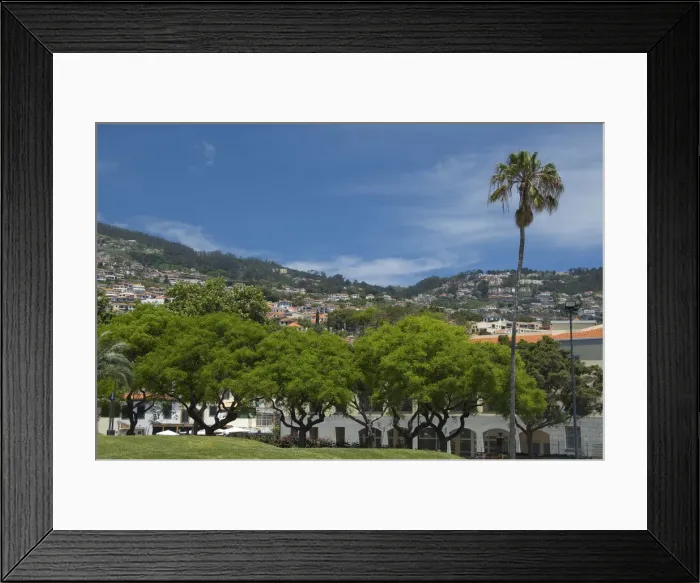 Framed Print : DDE-90034519 Framed Print : DDE-90034519