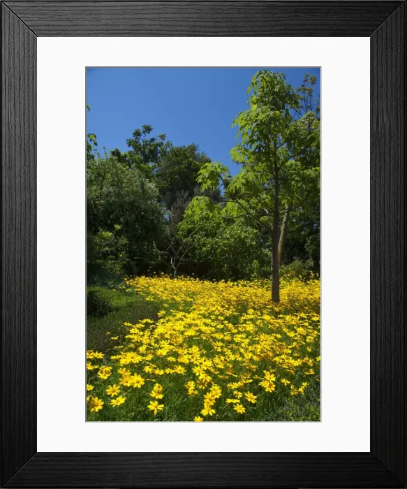 Framed Print : DDE-90034518 Framed Print : DDE-90034518