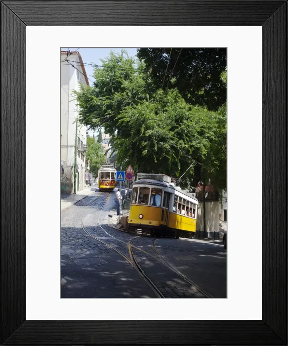 Framed Print : DDE-90034533