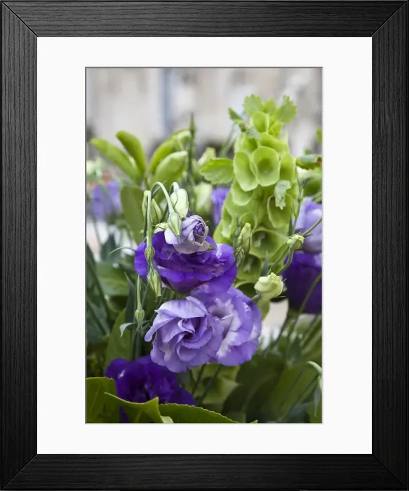 Framed Print : DDE-90034540 Framed Print : DDE-90034540