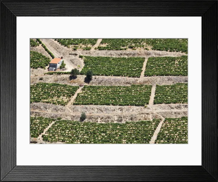 Framed Print : DDE-90034543 Framed Print : DDE-90034543
