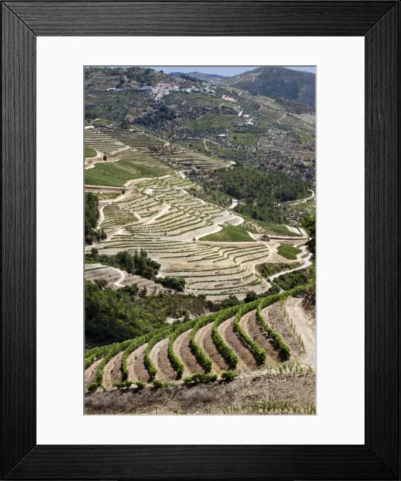 Framed Print : DDE-90034544 Framed Print : DDE-90034544