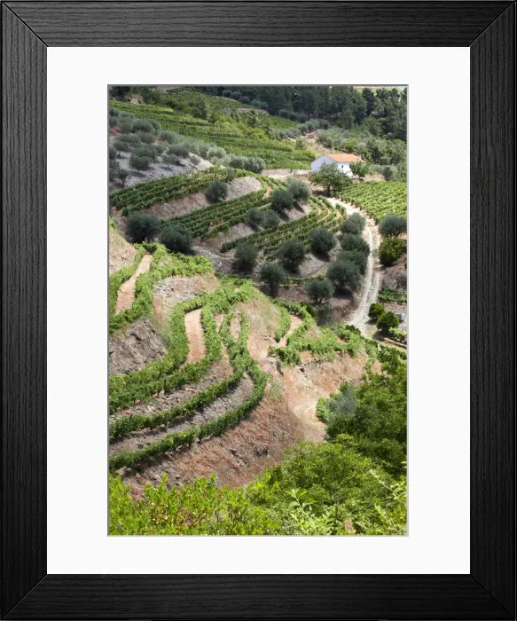 Framed Print : DDE-90034545 Framed Print : DDE-90034545