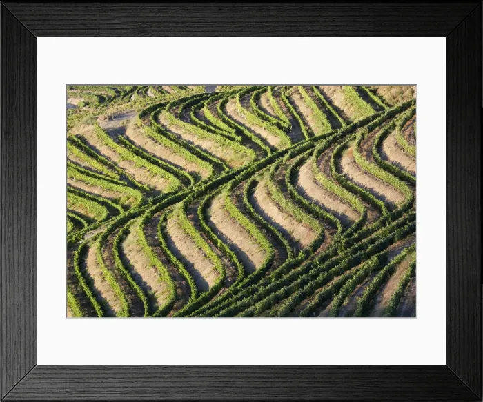 Framed Print : DDE-90034546 Framed Print : DDE-90034546
