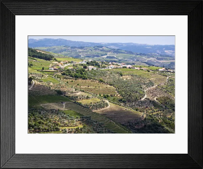 Framed Print : DDE-90034548