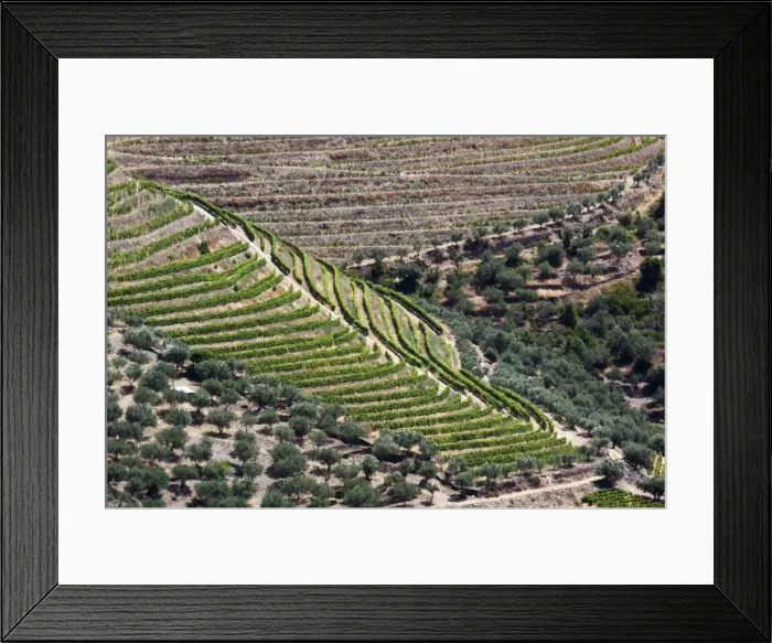 Framed Print : DDE-90034549 Framed Print : DDE-90034549