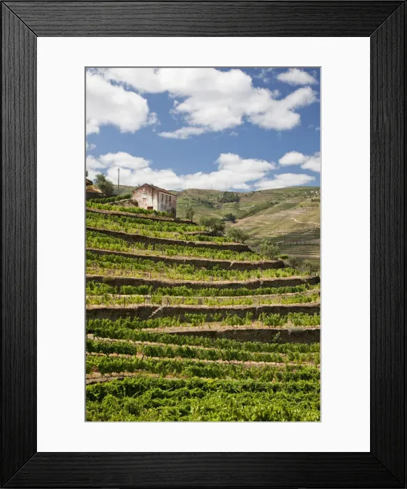 Framed Print : DDE-90034551 Framed Print : DDE-90034551