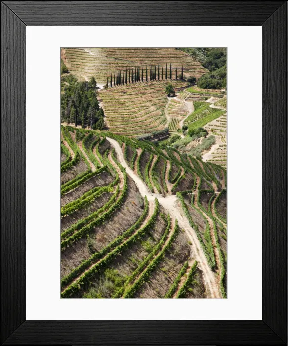 Framed Print : DDE-90034552 Framed Print : DDE-90034552
