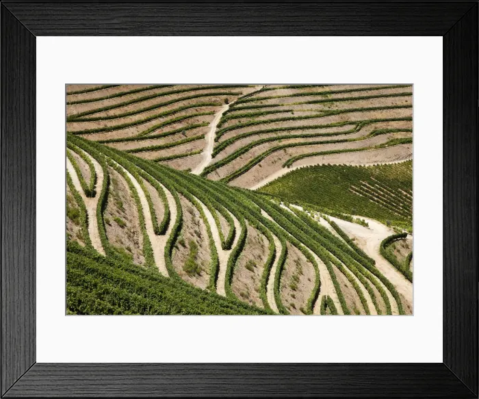 Framed Print : DDE-90034553 Framed Print : DDE-90034553