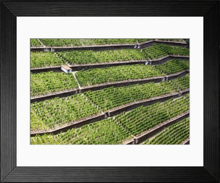 Framed Print : DDE-90034554