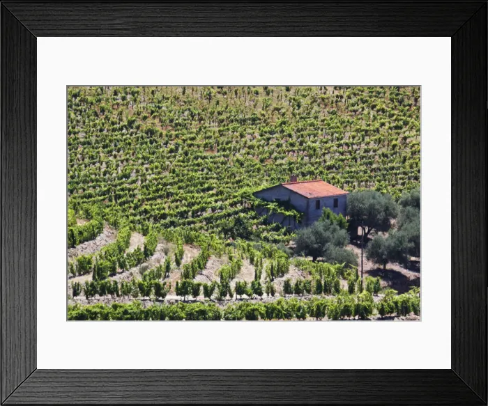 Framed Print : DDE-90034556