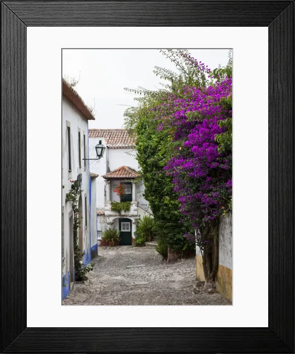 Framed Print : DDE-90034558 Framed Print : DDE-90034558