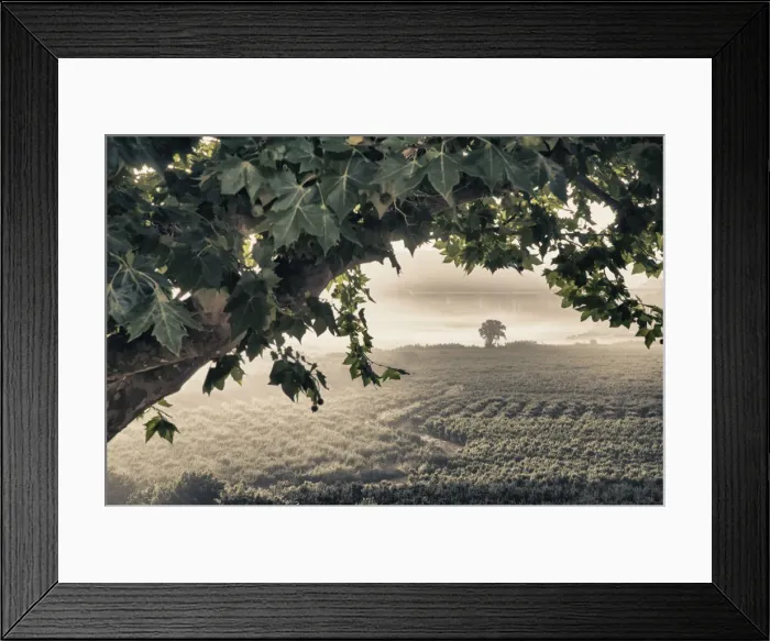 Framed Print : DDE-90034561 Framed Print : DDE-90034561