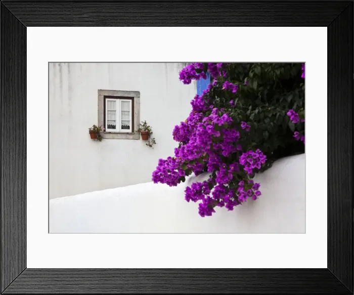 Framed Print : DDE-90034562 Framed Print : DDE-90034562