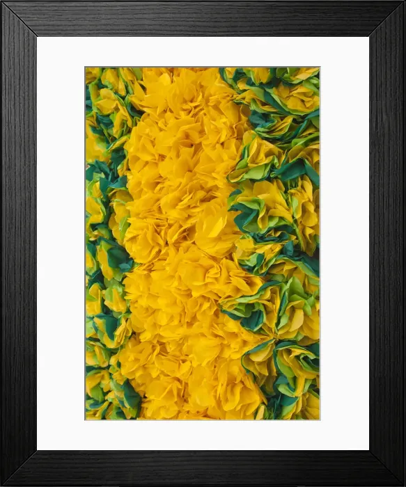 Framed Print : DDE-90034563 Framed Print : DDE-90034563