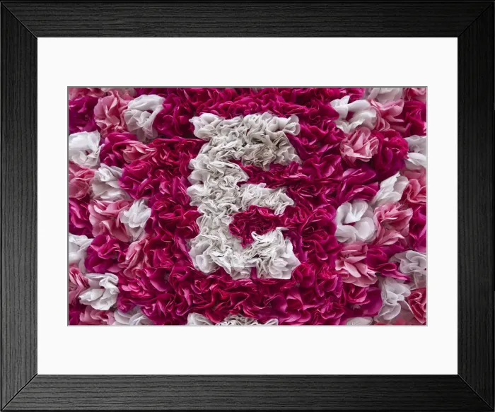 Framed Print : DDE-90034564 Framed Print : DDE-90034564