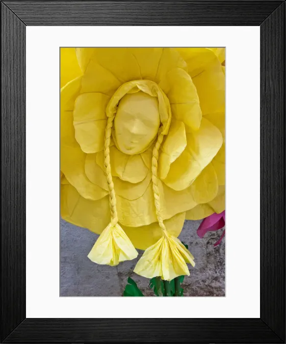 Framed Print : DDE-90034565 Framed Print : DDE-90034565
