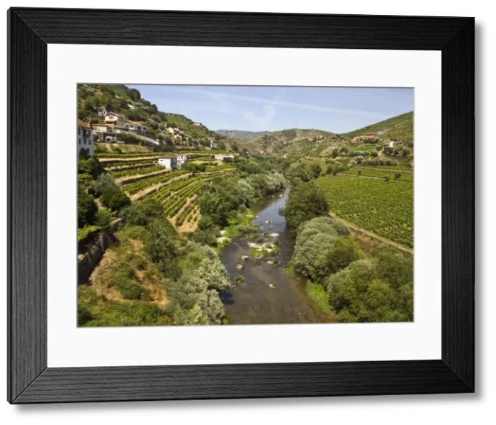 Framed Print : DDE-90034588 Framed Print : DDE-90034588
