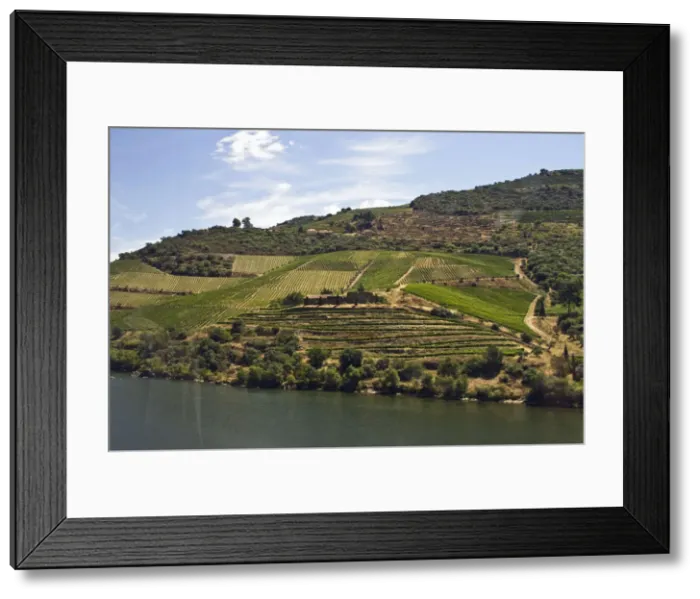 Framed Print : DDE-90034590 Framed Print : DDE-90034590