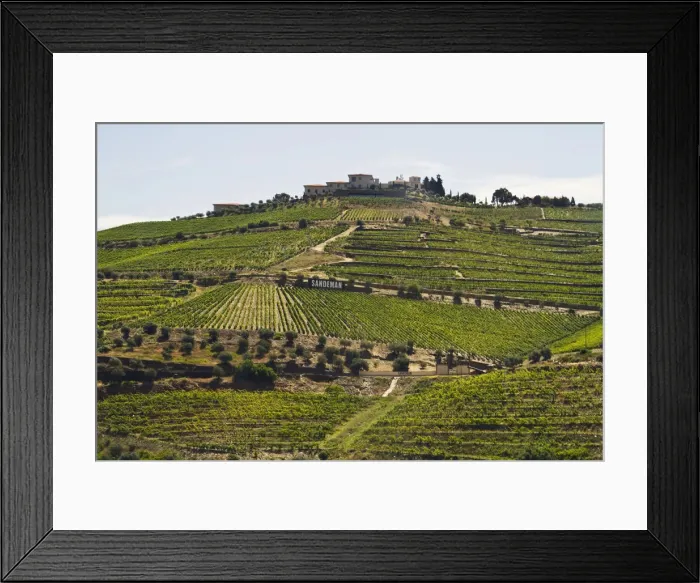 Framed Print : DDE-90034589 Framed Print : DDE-90034589
