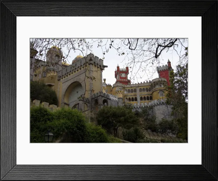 Framed Print : DDE-90034609