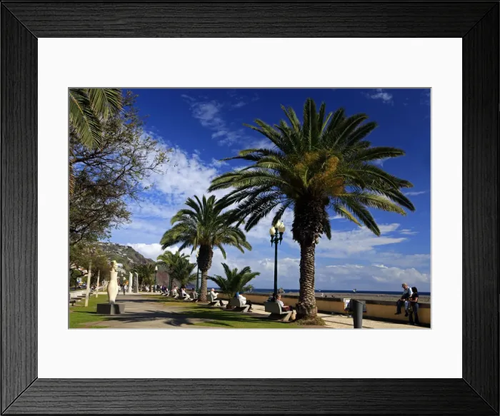 Framed Print : DDE-90034612