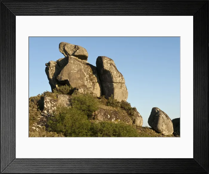 Framed Print : DDE-90034617 Framed Print : DDE-90034617