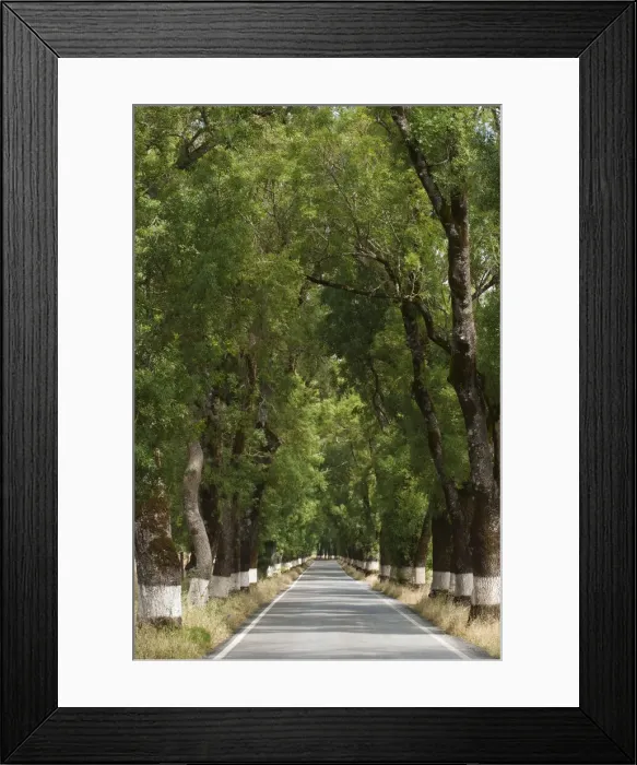 Framed Print : DDE-90034620 Framed Print : DDE-90034620