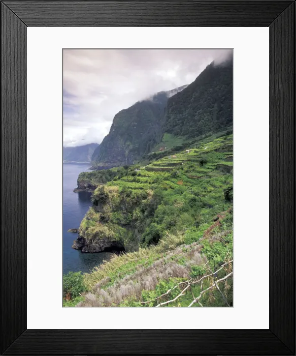 Framed Print : DDE-90034623