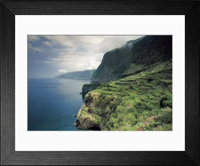 Framed Print : DDE-90034622 Framed Print : DDE-90034622