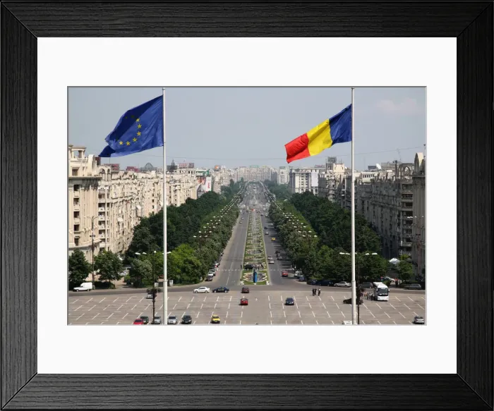 Framed Print : DDE-90034626