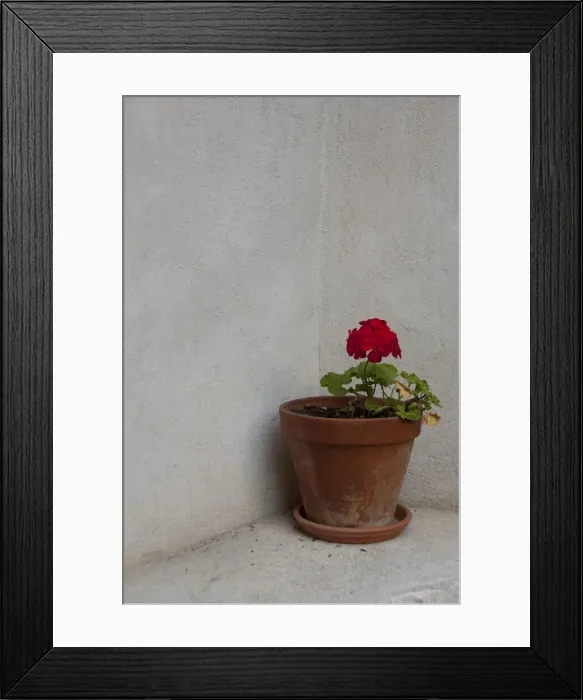 Framed Print : DDE-90034637 Framed Print : DDE-90034637