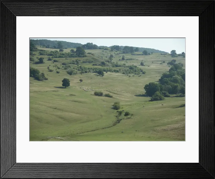 Framed Print : DDE-90034641
