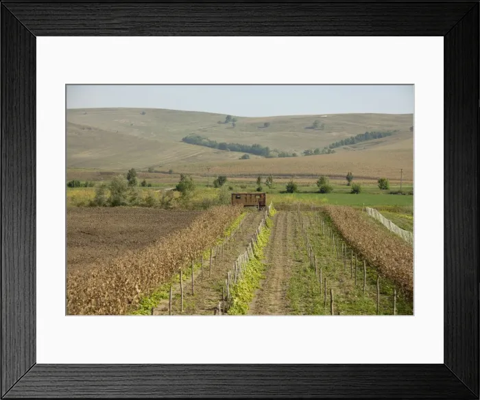 Framed Print : DDE-90034639 Framed Print : DDE-90034639