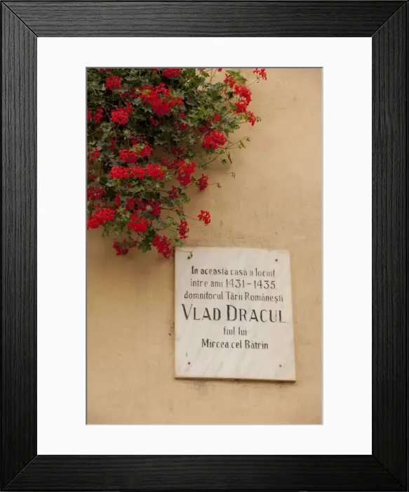 Framed Print : DDE-90034643 Framed Print : DDE-90034643