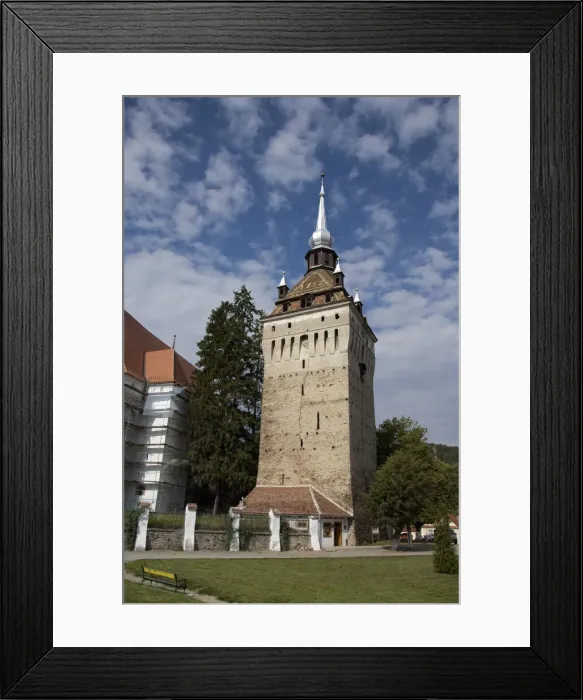 Framed Print : DDE-90034642