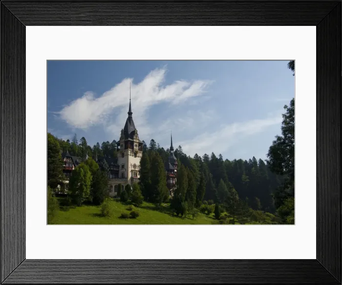 Framed Print : DDE-90034651 Framed Print : DDE-90034651