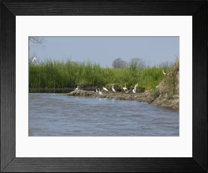Framed Print : DDE-90034661 Framed Print : DDE-90034661