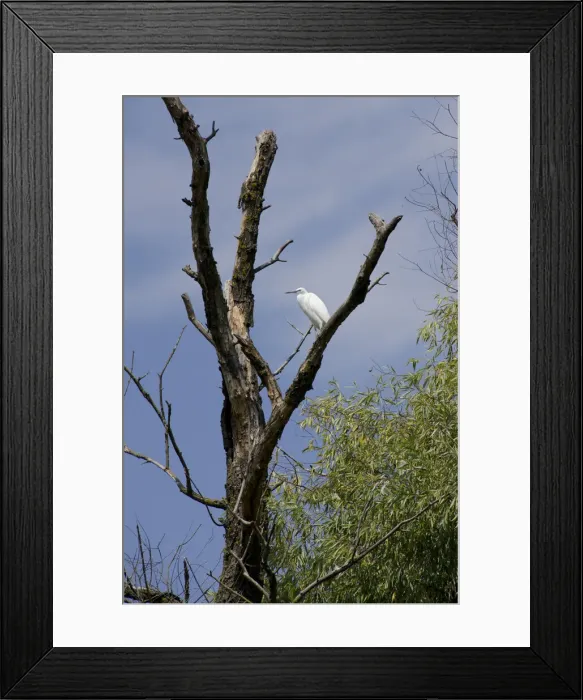 Framed Print : DDE-90034663 Framed Print : DDE-90034663